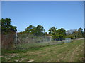 Disused tennis court