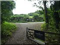 Camel Valley Vineyard