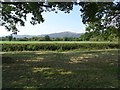 View to the Malvern Hills