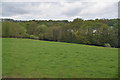 Floodplain of the River Aire