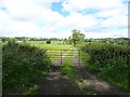 Gated farm track off South Moor Lane