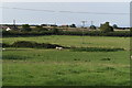 Fields north of Sutton Mallet