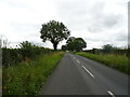 Minor road from Hackforth towards Little Crakehall