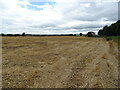 Stubble field, Hollow Moor