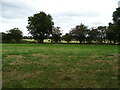 SE2590 : Cut silage field near Kirkbridge by JThomas