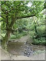 A simple dam across a stream feeding the River Camel