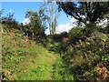 Llwybr ger Tregl?g / A path near Tregl?g