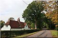 Lantern Cottage