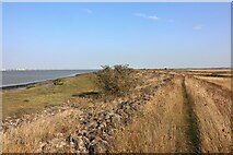 TQ7479 : Cliffe Marshes footpath by River Thames by Oast House Archive