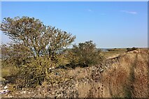 TQ7479 : Footpath North of Cliffe Marshes by Oast House Archive