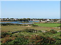 Fields and saltmarsh towards Four Mile Bridge