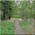 Byway (School Road), Stondon Massey