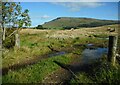 Field beside Hill of Balgair