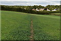 Footpath to Badgers Mount