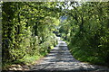 Looking down Stembridge Road