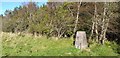 Cathkin Braes trig point