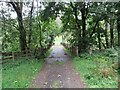 Farm Track Bridge over the River Lochay