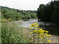 Abergavenny - River Usk