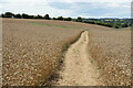 Path down to Fulbrook