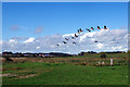 SJ9024 : Flying over Doxey Marshes by Stephen McKay