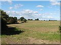 Gently sloping farmland, above Trent Wood