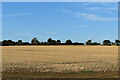 Stubble field, Clay Lane, Hemingstone