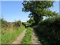 Bridleway to Weston