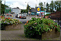 Floral display, Omagh