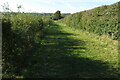 Footpath to Wiggington