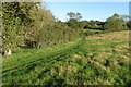 Bridleway to Cradle Farm