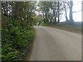 The minor road near Gurlyn Farm