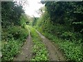 The bridleway near Trannack Mill