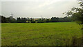 Grassland near Pontshill