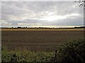 SK4620 : Fields west of Hallamford Road by Andrew Tatlow