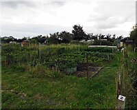 SK4922 : Shepshed Road Allotments plot 2 by Andrew Tatlow