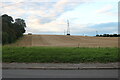 Field by Manor Road, Lower Sundon