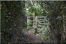 TQ5641 : Kissing gate, Tunbridge Wells Circular Walk by N Chadwick