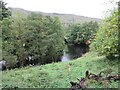 River Lochay near Boreland House