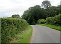 NU0336 : Country  road  toward  Holburn  nearing  Finis  Wood by Martin Dawes