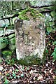 Langwathby face of boundary stone on SW side of Whamthorn Plantation