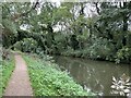 Canal towpath