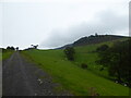 On a track above Moeliwrch farm, Llansilin