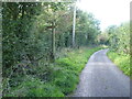 A path off Woodbirds Hill Lane