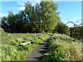 Riverside path near Shewalton