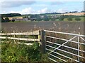 Farmland at Clarilaw