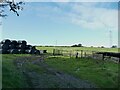 Bales in a field at High Royds