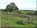 SE1642 : Ruins near the former Odda Farm, Hawksworth by Stephen Craven