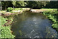 River Allen at Hawkhill Mill Farm