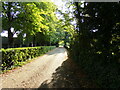 Footpath to the B1115 Hadleigh Road