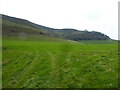 Field below the Gyrn near Llansilin